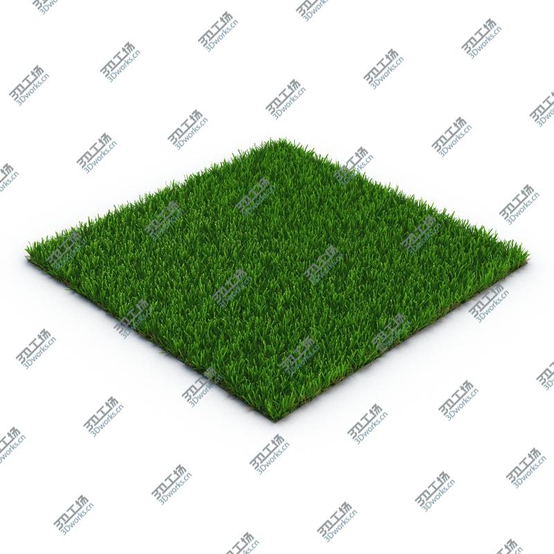 images/goods_img/2021040165/Zoysia Grass/5.jpg